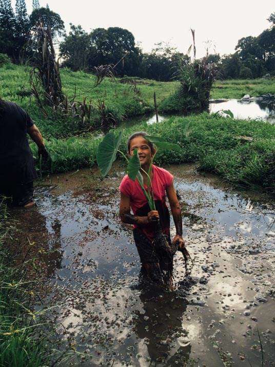 Family Friendly Things to do in Honolulu, Hawaii Taro Patch-Kids Are A Trip