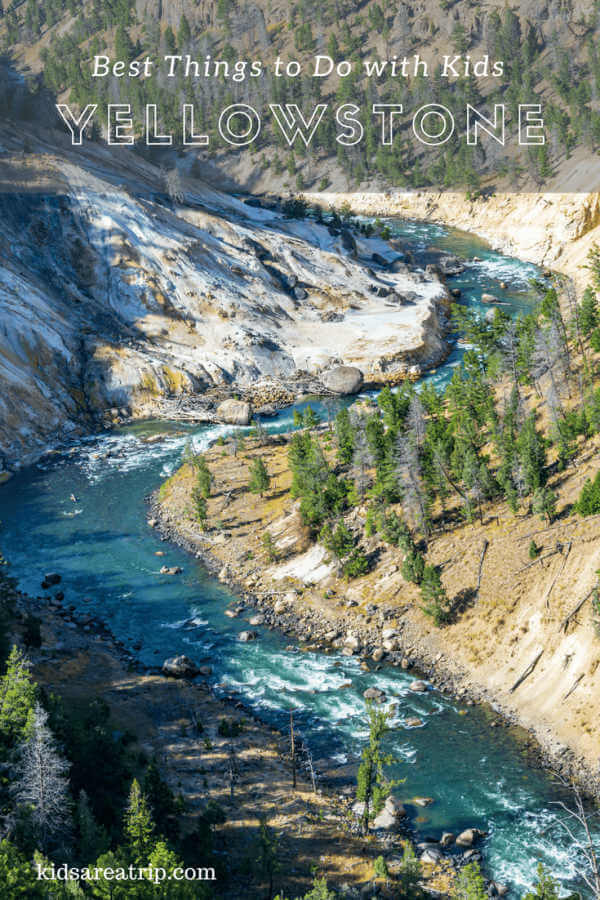 Best of Yellowstone National Park with Kids