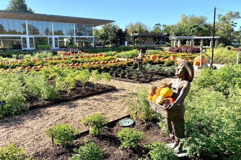 Dallas Arboretum Fall Festival