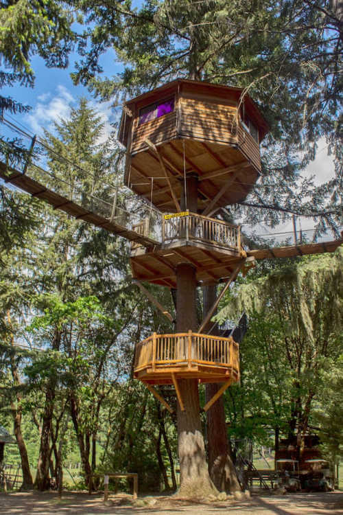 Majestree Oregon Treehouse-Kids Are A Trip