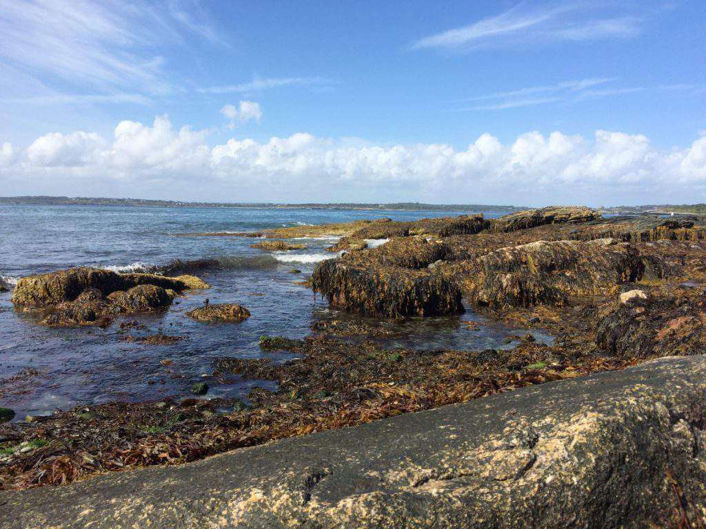 Family Friendly Things to Do in Newport Rhode Island Brenton Point State Park-Kids Are A Trip