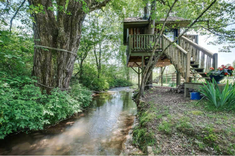 North Sungate Farms Glamping North Carolina-Kids Are A Trip