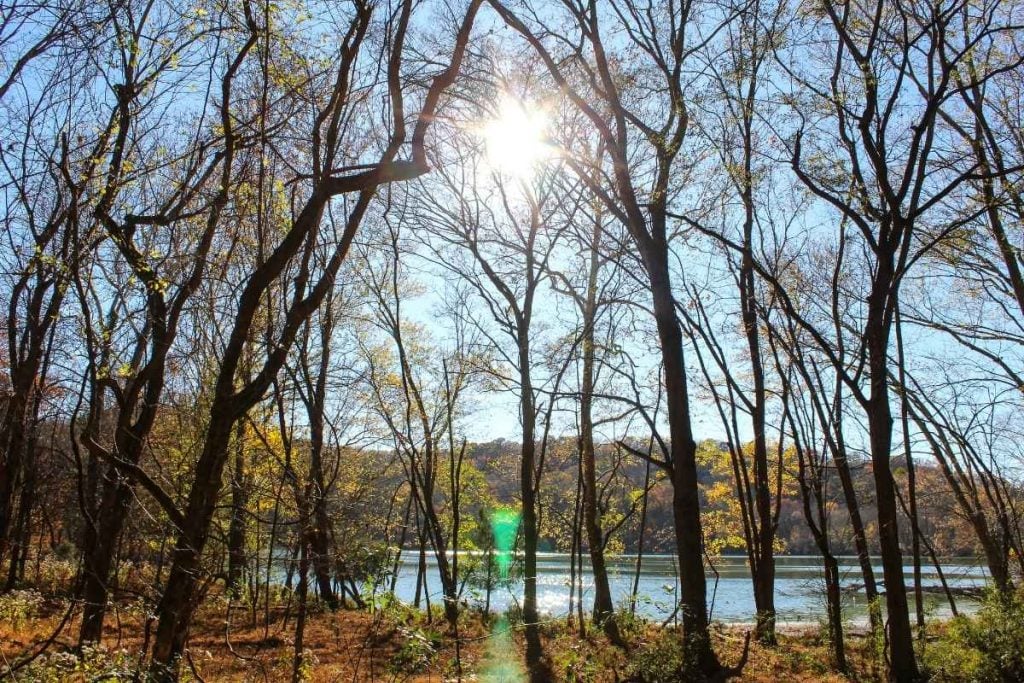 Radnor Lake State Park