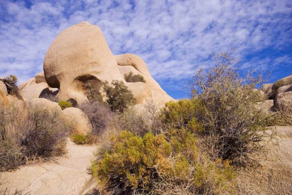 Skull Rock Joshua Tree National Park