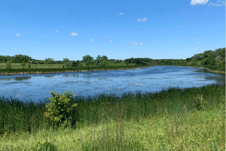 Turtle River ND State Park-Kids Are A Trip